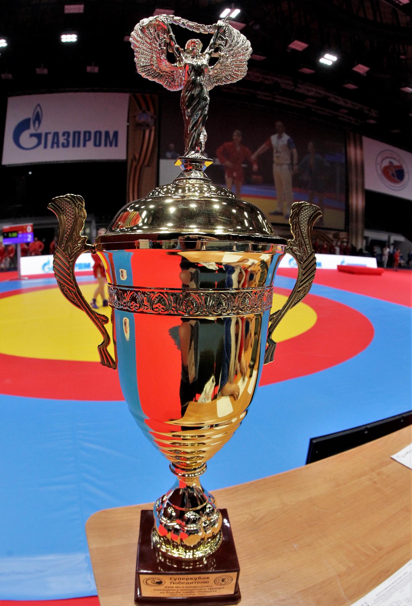 В Санкт-Петербурге 10-11 мая 2018 года прошёл XVIII Международный командный юношеский турнир по борьбе самбо «Победа».